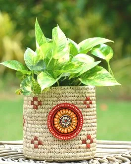 Sabai grass planter